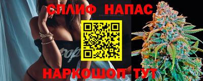 дурь Кингисепп